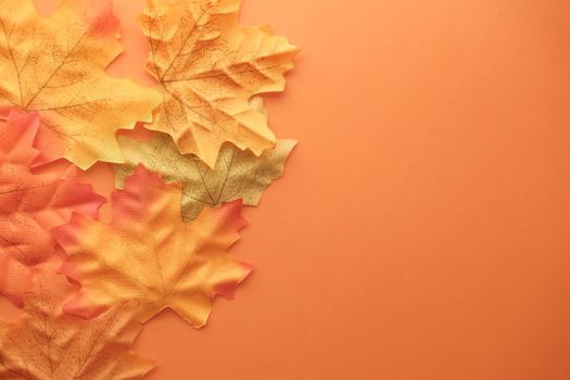 autumn maple leaves on orange background, top down