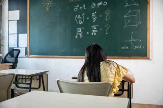 Back view of school girl on lesson in classroom write hardworking on blackboard