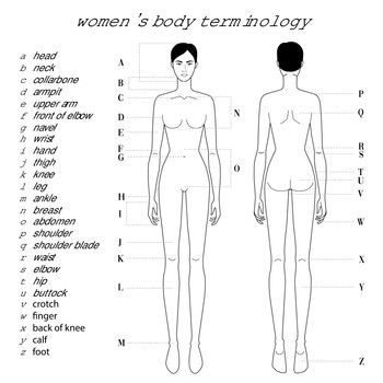 Womens body terminology.
