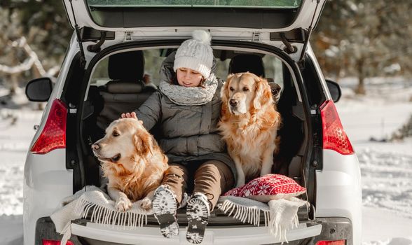 Golden retriever dogs with girl in winter time