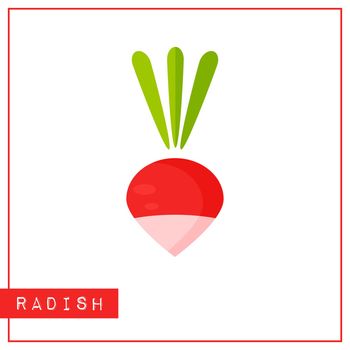 Isolated red radish memory training card