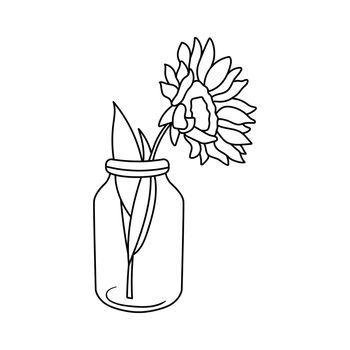 Sunflowers in jar. Wildflowers in glass bottle. Vector outline illustration isolated on white