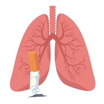 Cigarettes  smoking with lungs vector