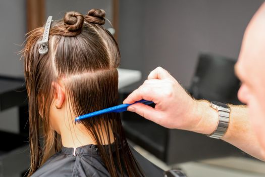 Hairdresser combing female wet hair