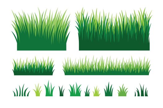 Green grass collection. landscape design herb element set.