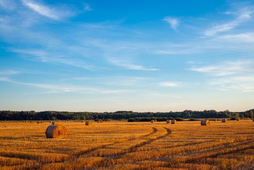 Rural view of a field with bales of straw during sunset, restful atmosphere