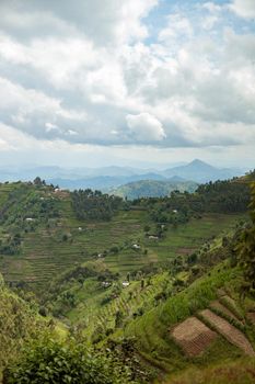 Beautiful landscape in southwestern Uganda, at the National Park, Rwanda