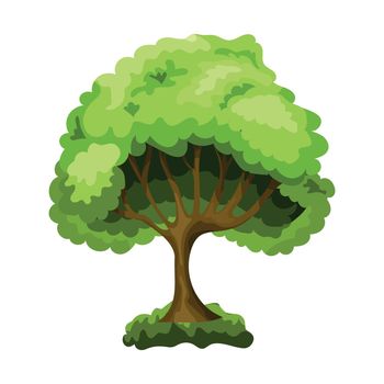 Realistic green deciduous tree isolated on white background - Vector