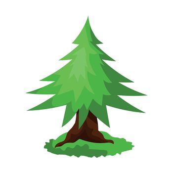 Realistic dense green spruce isolated on white background - Vector
