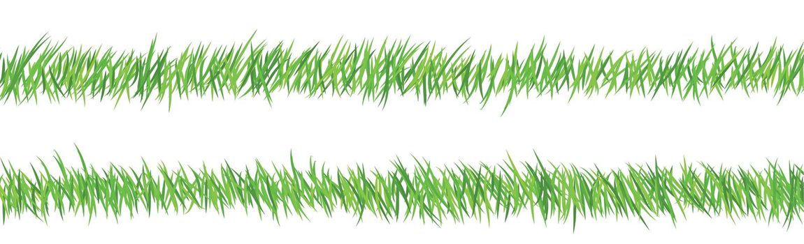 Green juicy grass on a white background