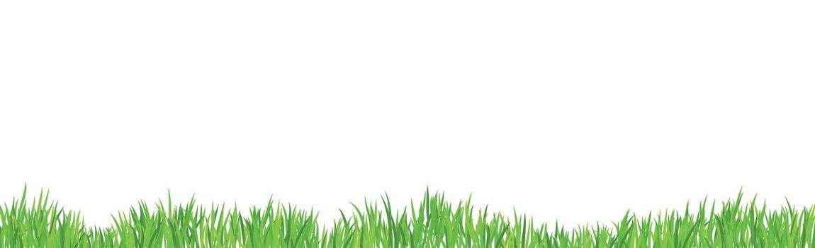 Green juicy grass on a white background