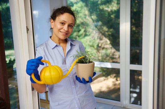 Pleasant housewife in blue gloves smiles looking at camera while watering a potted rosemary plant with a watering can