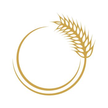 Wheat illustration design