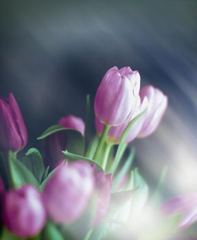 Purple tulip bouquet