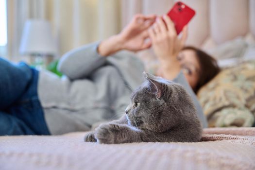 Relaxed gray cat lying on bed, woman with telephone in out of focus