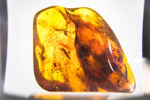 Genuine amber with insects fossil