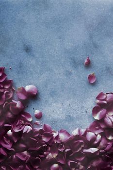 Rose petals on marble stone, floral background