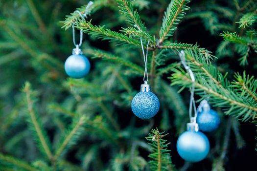 Festive christmas balls. Beautiful green fir tree branches decor with blue baubles decoration. Winter noel concept. New year background.Fir branch with christmas toys.Christmas blue ball