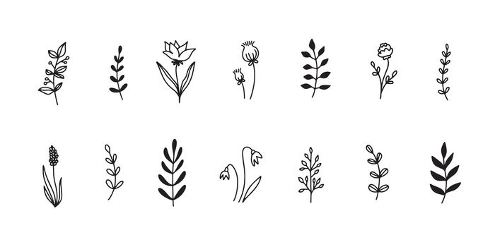 Floral elements set flowers leaves simple outline style