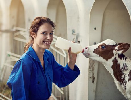 I care about every member of my herd. Portrait of a female farmer feeding a calf by hand on the farm.