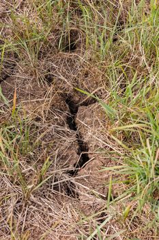 Dry soil with cracks caused by drought