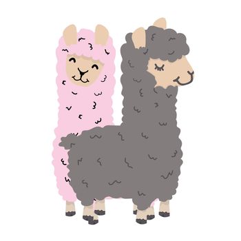 Cute lama alpaca couple vector