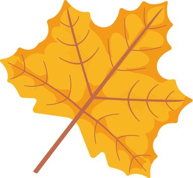 Autumn golden maple leaf clipart.