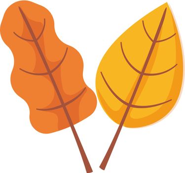 Autumn leaf object clipart. Birch and oak icon