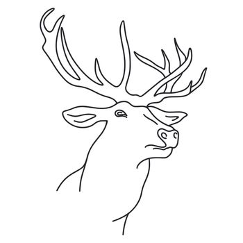 Forest deer vector illustration
