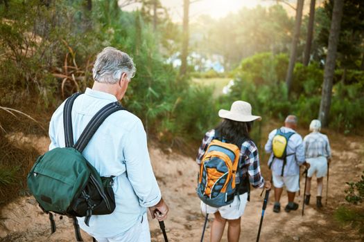 . Hiking, adventure and exploring with a group of senior friends walking on a trail in the forest or woods. Rearview of retired people taking a hike or journey on a discovery vacation outdoors.