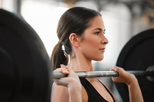Active, strong and athletic young female doing an arm fitness workout, exercising and training inside. Weight lifting fit woman doing an exercise in a gym, sport studio or wellness club indoors