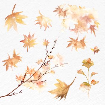Autumn leaves set watercolor vector orange seasonal graphic