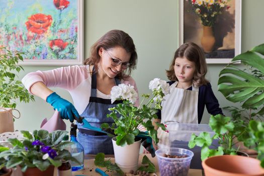 Mother and daughter child plant potted plants, flowers