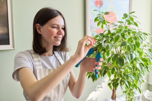 Teen girl cuts houseplant ficus garden secateurs