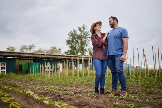 Farmer couple happy about growing vegetable crops or plants in their organic or sustainable farm or garden. Affectionate nature activists enjoying the outdoors and having fun together