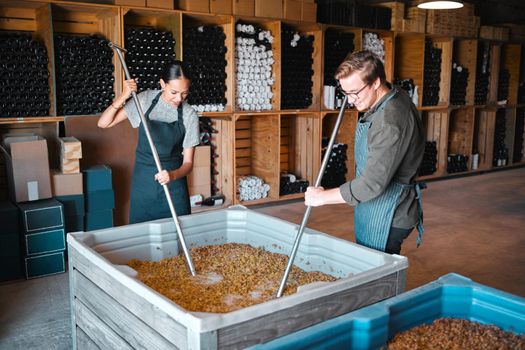 Crushing grapes for wine manufacturing in a cellar, winery and distillery. Industry employees, vintners and workers with press tool in a tank to mix large crate for fermentation process in production
