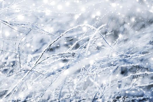 Winter holiday background, nature scenery with shiny snow and cold weather in Christmas time