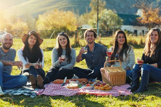 Good vibes and great times. Portrait of a group of friends having a picnic together outdoors.
