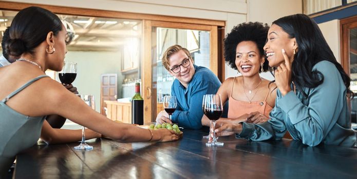 Social friends drinking wine, relaxing and talking together in a restaurant for fun, reunion and happy bonding. Diversity of smile people enjoying conversation, food and drink at a dining party.