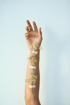 Living in harmony with nature. Studio shot of plants taped to an unrecognizable persons raised arm against a grey background.