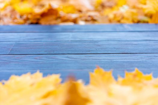 Empty wooden table nature bokeh background with autumn yellow maple leaf boarder Template mock up for display of product Copy space