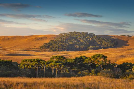 Southern Brazil countryside and meadows landscape at peaceful sunrise