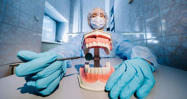 A dental doctor wearing blue gloves and a mask holds a dental model of the upper and lower jaws and a dental mirror