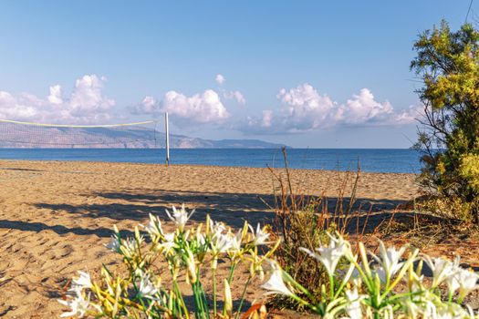 Sea shore. Beautiful empty beach in summer sunny day on Crete island in Greece.
