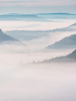 Aerial view over misty forest with haze at sunrise and hills.