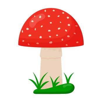 Amanita mushrooms. Red mushrooms with white spots. Fly agaric
