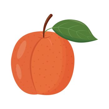 Whole orange peach with green leaf isolated on white background. Flat vector illustration