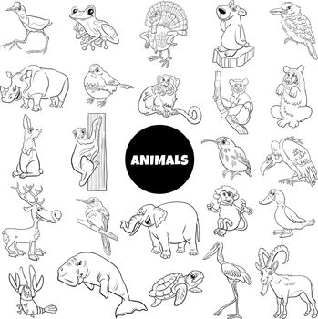 black and white cartoon wild animal species characters set