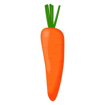 Whole carrot isolated on background. Flat vector illustration