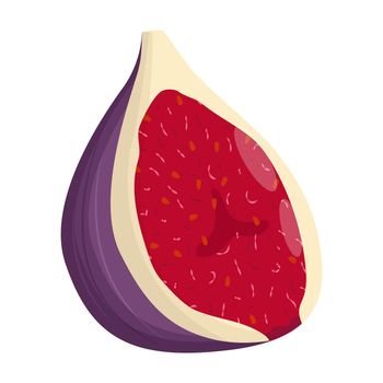 Half of fig isolated on white background. Flat vector illustration